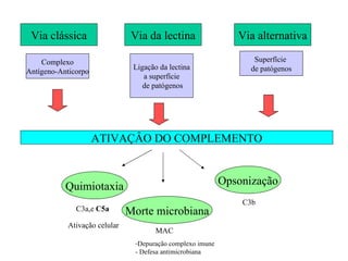 Via clássica Via da lectina Via alternativa Complexo Antígeno-Anticorpo Superfície  de patógenos Ligação da lectina a superfície de patógenos ATIVAÇÂO DO COMPLEMENTO Quimiotaxia Morte microbiana Opsonização C3b MAC C3a,e  C5a Depuração complexo imune - Defesa antimicrobiana Ativação celular 