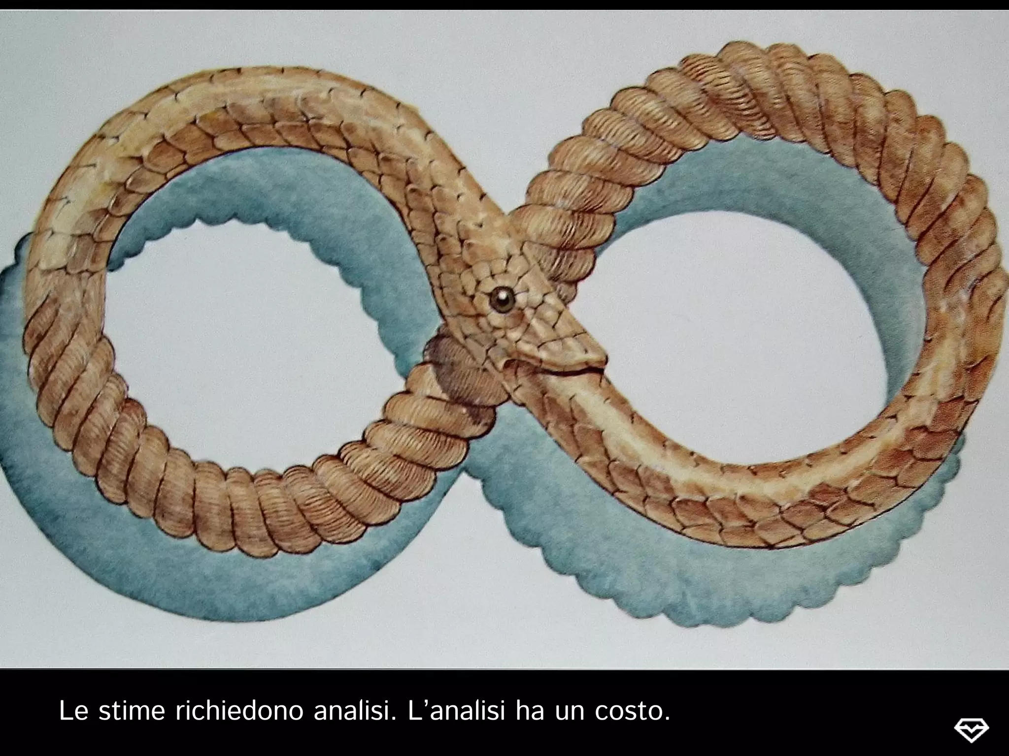 Le stime richiedono analisi. L’analisi ha un costo.
 