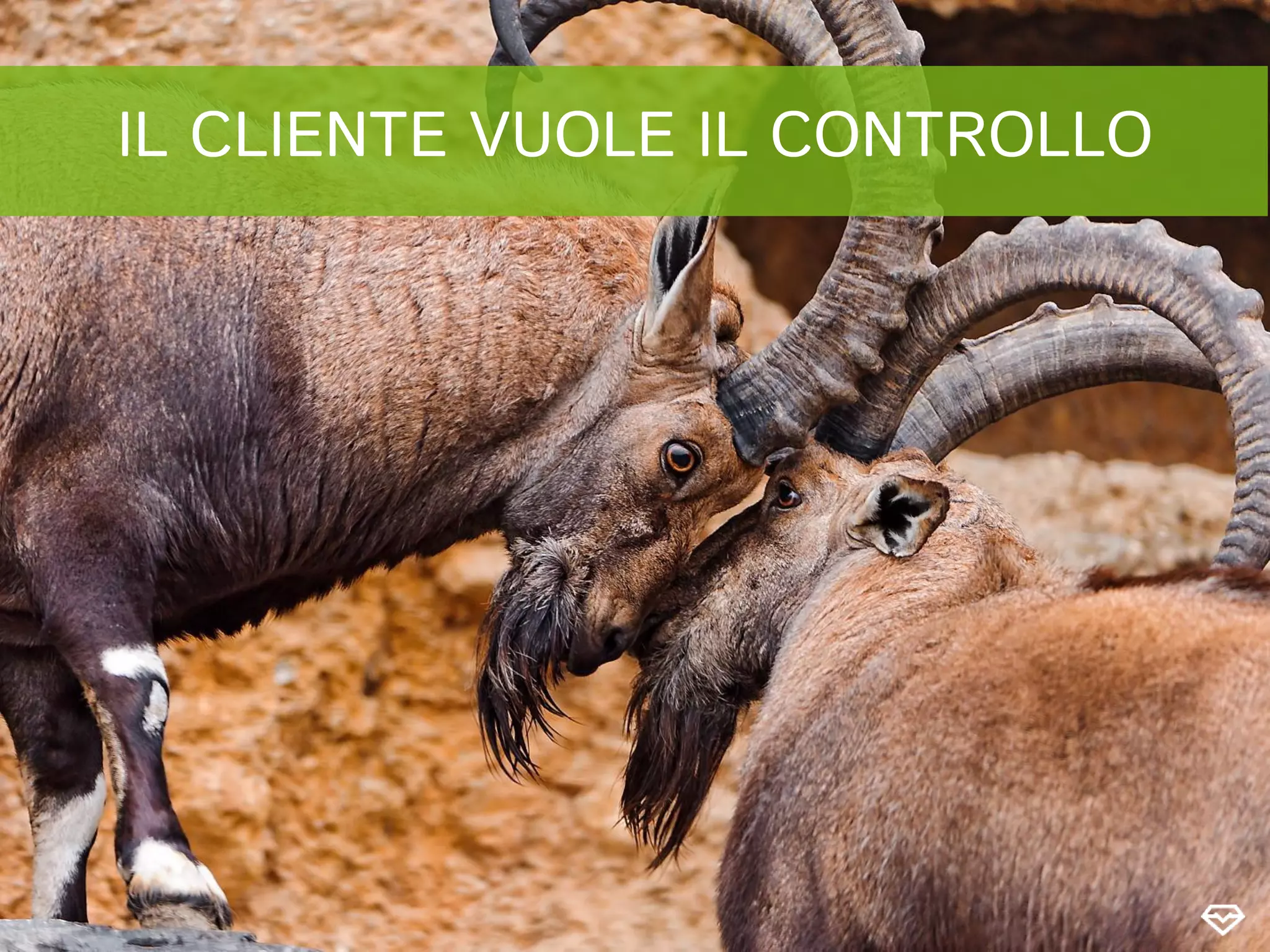 IL CLIENTE VUOLE IL CONTROLLO
 