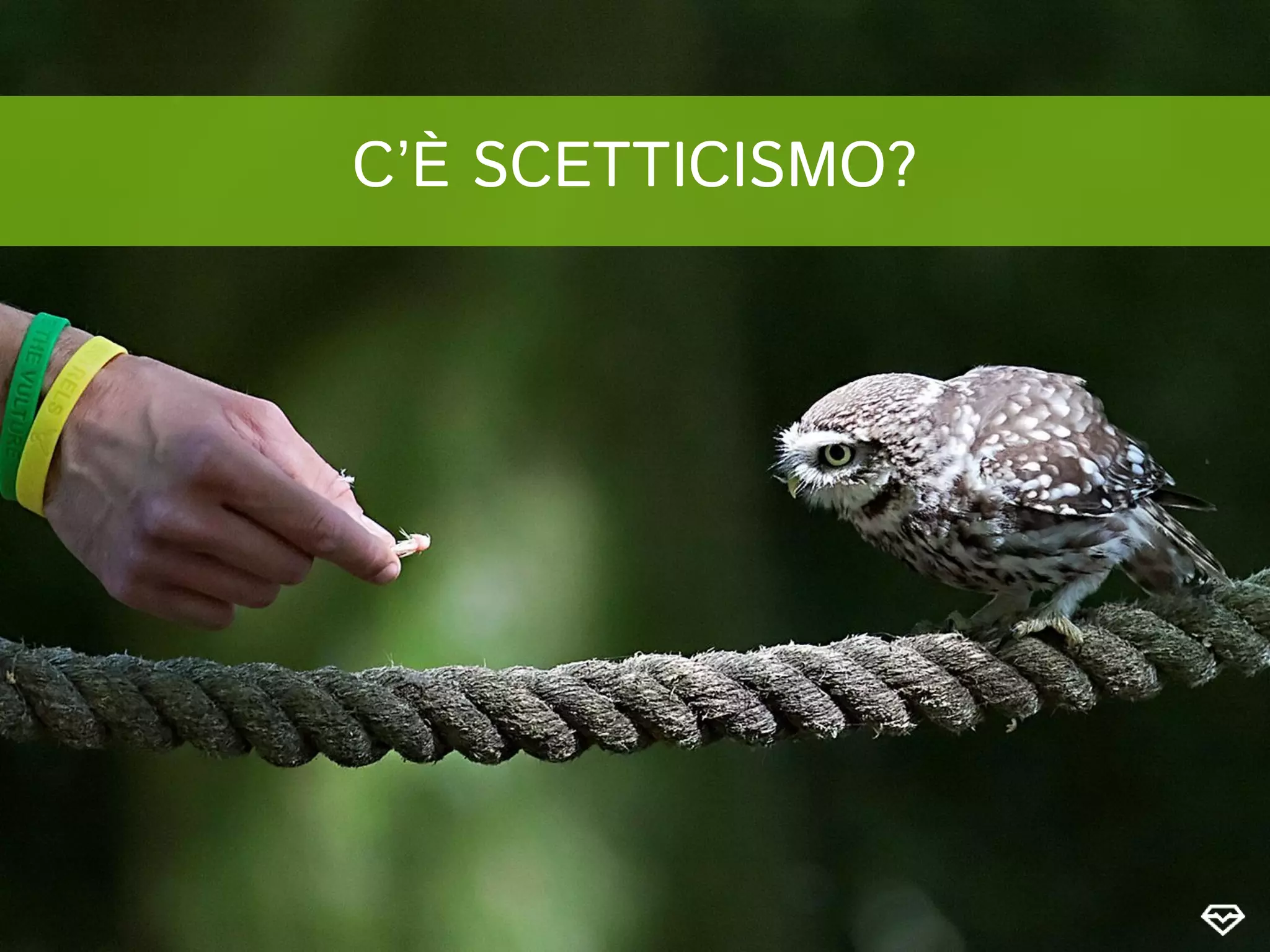 C’È SCETTICISMO?
 
