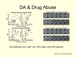 DA & Drug Abuse




DA metabolism and “high” are ~50% higher when MP expected


                                               Volkow et al., J Neurosci (2003).
 