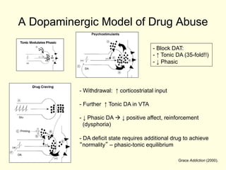 A Dopaminergic Model of Drug Abuse

                                         -  Block DAT:
                                         - ↑ Tonic DA (35-fold!!)
                                         - ↓ Phasic




          -  Withdrawal: ↑ corticostriatal input

          -  Further ↑ Tonic DA in VTA

          -  ↓ Phasic DA à ↓ positive affect, reinforcement
             (dysphoria)

          - DA deficit state requires additional drug to achieve
          “normality” – phasic-tonic equilibrium

                                                   Grace Addiction (2000).
 