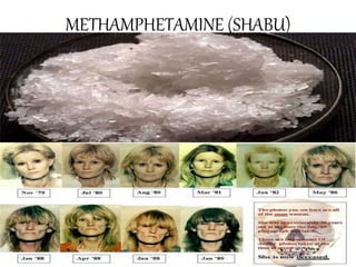 METHAMPHETAMINE (SHABU)
 
