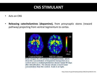 • Acts on CNS 
CNS STIMULANT 
• Releasing catecholamines (dopamine), from presynaptic stores (reward 
pathway) projecting from ventral tegmentum to cortex. 
http://www.bnl.gov/bnlweb/pubaf/pr/2001/bnlpr030101.htm 
 