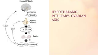 HYPOTHALAMO-
PITUITARY- OVARIAN
AXIS
 