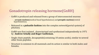 Gonadotropin releasing hormone(GnRH)
• GnRH is produced and released from a group of interconnected neurons
• - arcuate nucleus(medical basal hypothalamus) and preoptic nucleus(ventral
hypothalamus).
• Released in a pulsatile fashion into the complex network(portal system) of
pituitary.
• GnRH was first isolated , charecterised and synthesised independently in 1971
by Andrew Schally and Roger Guilleman.
• Single chain peptide, decapeptide(containing 10 amino acids), similar to several
other brain peptides.
• Structure is common to all mammals and its action is similar in both males and
females.
 