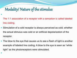 stimuli (1).pptx