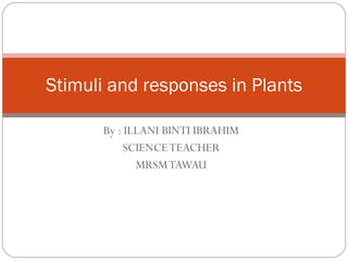 By : ILLANI BINTI IBRAHIM SCIENCE TEACHER MRSM TAWAU Stimuli and responses in Plants 