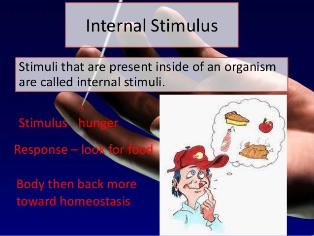 Stimuli lesson 3