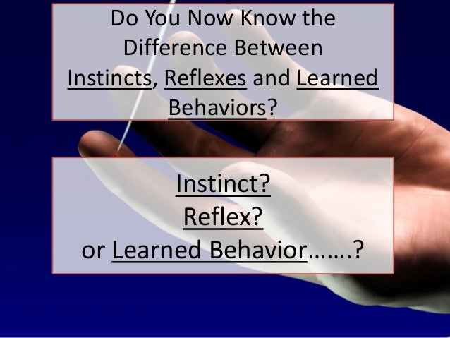 What is the difference between instinct and learned behavior?