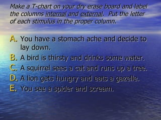 Make a T-chart on your dry erase board and label the columns  internal  and  external .  Put the letter of each stimulus in the proper column.  You have a stomach ache and decide to lay down. A bird is thirsty and drinks some water. A squirrel sees a cat and runs up a tree. A lion gets hungry and eats a gazelle. You see a spider and scream. 