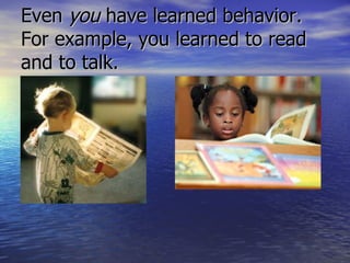 Even  you  have learned behavior.  For example, you learned to read and to talk. 