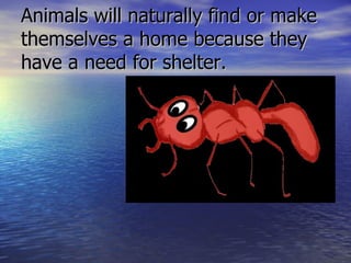 Animals will naturally find or make themselves a home because they have a need for shelter.  