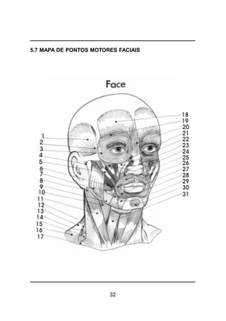 32
5.7 MAPA DE PONTOS MOTORES FACIAIS
 