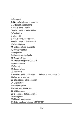 33
1-Temporal
2- Nervo facial - ramo superior
3-Orbicular da pálpebra
4-Nervo facial - tronco
5-Nervo facial - ramo médio
6-Bucinador
7-Masseter
8-Nervo auricular posterior
9-Nervo facial - ramo inferior
10-Omohioídeo
11-Externo cleido mastóide
12-Nervo espinhal
13-Esplênio
14-Angular da escápula
15-Nervo frênico
16-Trapézio superior (C2, C3)
17-Ponto de Erb
18-Frontal
19-Supra orbital
20-Piramidal
21-Elevador comum da asa do nariz e do lábio superior
22-Tranverso do nariz
23-Elevador do lábio superior
24-Zigomático
25-Lábio superior
26-Orbicular dos lábios
27-Lábio inferior
28-Depressor do lábio inferior
29-Triangular
30-Elevador do mento
31-Externo cleido hioídeo (C1/C2/C3)
 
