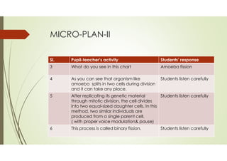 MICRO-PLAN-II
Sl. Pupil-teacher’s activity Students’ response
3 What do you see in this chart Amoeba fission
4 As you can see that organism like
amoeba splits in two cells during division
and it can take any place.
Students listen carefully
5 After replicating its genetic material
through mitotic division, the cell divides
into two equal-sized daughter cells. In this
method, two similar individuals are
produced from a single parent cell.
( with proper voice modulation& pause)
Students listen carefully
6 This process is called binary fission. Students listen carefully
 