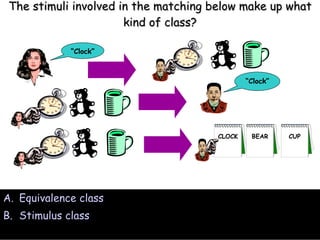 The stimuli involved in the matching below make up what kind of class? Equivalence class Stimulus class CLOCK BEAR CUP “ Clock” “ Clock” 