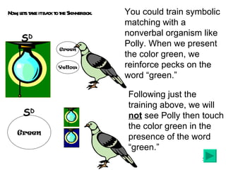 Now, lets take it back to the Skinner box. You could train symbolic matching with a nonverbal organism like Polly. When we present the color green, we reinforce pecks on the word “green.” Following just the training above, we will  not  see Polly then touch the color green in the presence of the word “green.”  Yellow Green S D Green S D 