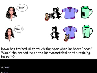 A.  Yes B.  No Dawn has trained Al to touch the bear when he hears “bear.” Would the procedure on top be symmetrical to the training below it? “ Bear” “ Shirt” 