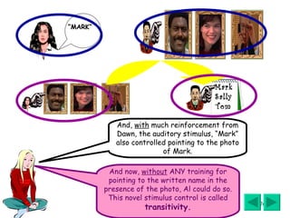 And,  with  much reinforcement from Dawn, the auditory stimulus, “Mark” also controlled pointing to the photo of Mark. And now,  without  ANY training for pointing to the written name in the presence of the photo, Al could do so. This novel stimulus control is called  transitivity. “ MARK” Mark Sally Tom 