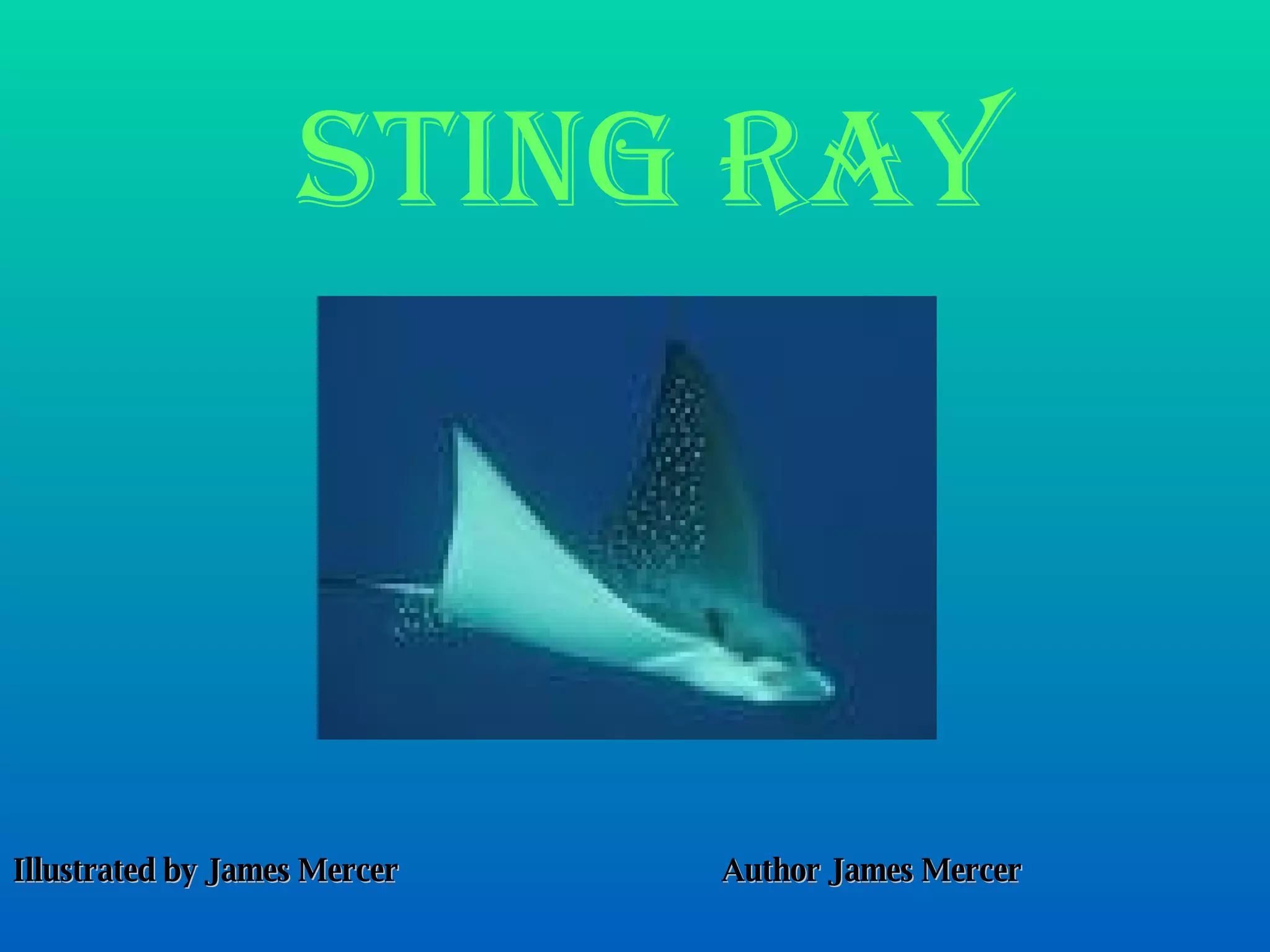 Sting ray Illustrated by James Mercer Author James Mercer