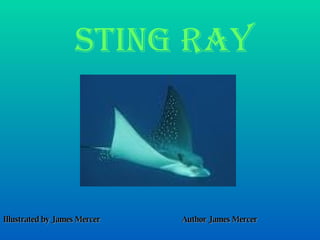 Sting ray Illustrated by James Mercer Author James Mercer 