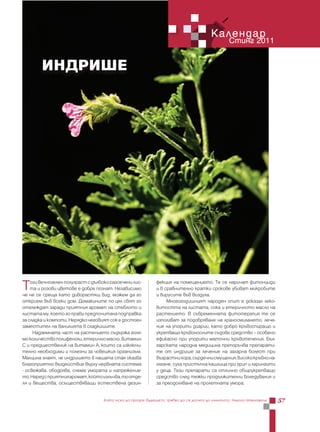 Календар
                                                                                                 Стинг 2011


        ИНДРИШЕ




Т   ози вечнозелен полухраст с дълбоко разсечени лис-
    та и розови цветове е добре познат. Независимо
че не се среща като диворастящ вид, можем да го
                                                             фекция на помещението. Те се наричат фитонциди
                                                             и в сравнително кратки срокове убиват микробите
                                                             и вирусите във въздуха.
открием във всеки дом. Домакините по цял свят го                  Многогодишният народен опит е доказал леко-
отглеждат заради приятния аромат на стъблото и               витостта на листата, сока и етеричното масло на
листата му, което го прави предпочитана подправка            растението. В съвременната фитотерапия те се
за сладка и компоти. Нерядко неговият сок е достоен          използват за подобряване на храносмилането, лече-
заместител на ванилията в сладкишите.                        ние на упорити диарии, като добро кръвоспиращо и
     Надземната част на растението съдържа голя-             укрепващо кръвоносните съдове средство – особено
мо количество полифеноли, етерично масло, витамин            ефикасно при упорити маточни кръвотечения. Бъл-
С и предшественик на витамин А, които са изключи-            гарската народна медицина препоръчва препарати-
телно необходими и полезни за човешкия организъм.            те от индрише за лечение на захарна болест при
Малцина знаят, че индришето в нашата стая оказва             възрастни хора, сърдечни смущения, високо кръвно на-
благоприятно въздействие върху нервната система              лягане, суха пристъпна кашлица при грип и ларингити
- освежава, ободрява, снема умората и напрежение-            у деца. Тези препарати са отлично общоукрепващо
то. Наред с приятния аромат, който излъчва, то отде-         средство след тежки продължителни боледувания и
ля и вещества, осъществяващи естествена дезин-               за преодоляване на пролетната умора.


                                    Който иска да прозре бъдещето, трябва да се допита до миналото, Николо Макиавели   57
 