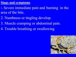 Sings and symptoms
1. Severe immediate pain and burning in the
area of the bite.
2. Numbness or tingling develop.
3. Muscle cramping or abdominal pain.
4. Trouble breathing or swallowing
 