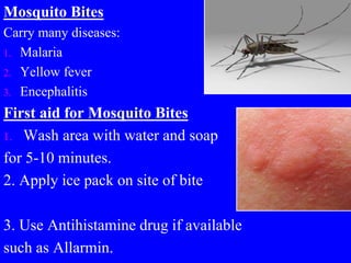 Mosquito Bites
Carry many diseases:
1. Malaria
2. Yellow fever
3. Encephalitis
First aid for Mosquito Bites
1. Wash area with water and soap
for 5-10 minutes.
2. Apply ice pack on site of bite
3. Use Antihistamine drug if available
such as Allarmin.
 