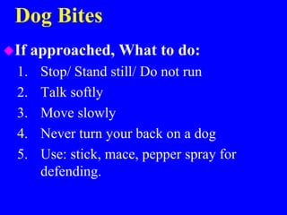 Dog Bites
If approached, What to do:
1. Stop/ Stand still/ Do not run
2. Talk softly
3. Move slowly
4. Never turn your back on a dog
5. Use: stick, mace, pepper spray for
defending.
 