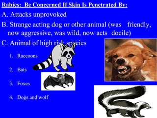 Rabies: Be Concerned If Skin Is Penetrated By:
A. Attacks unprovoked
B. Strange acting dog or other animal (was friendly,
now aggressive, was wild, now acts docile)
C. Animal of high risk species
1. Raccoons
2. Bats
3. Foxes
4. Dogs and wolf
 