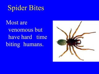 Spider Bites
Most are
venomous but
have hard time
biting humans.
 