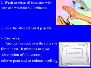 2. Wash or rinse all bites area with
soap and water for 5-10 minutes.
3. Raise the affected part if possible
4. Cool area:
Apply an ice pack over the sting site
for at least 10 minutes to slow
absorption of the venom,
relieve pain and to reduce swelling.
 