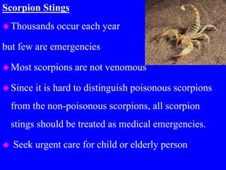 Scorpion Stings
Thousands occur each year
but few are emergencies
Most scorpions are not venomous
Since it is hard to distinguish poisonous scorpions
from the non-poisonous scorpions, all scorpion
stings should be treated as medical emergencies.
 Seek urgent care for child or elderly person
 