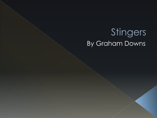 Stingers
By Graham Downs
 