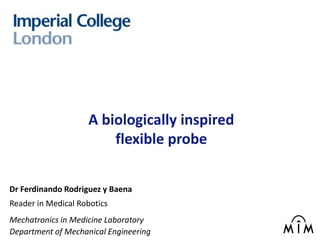 A biologically inspired
                        flexible probe


Dr Ferdinando Rodriguez y Baena
Reader in Medical Robotics
Mechatronics in Medicine Laboratory
Department of Mechanical Engineering
 