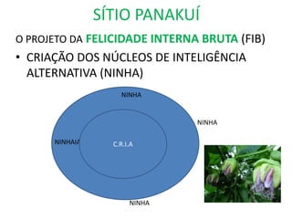 SÍTIO PANAKUÍ
O PROJETO DA FELICIDADE INTERNA BRUTA (FIB)
• CRIAÇÃO DOS NÚCLEOS DE INTELIGÊNCIA
  ALTERNATIVA (NINHA)
                    NINHA


                               NINHA

      NINHAIA       CIA
                  C.R.I.A




                       NINHA
 