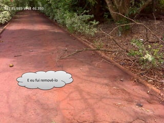 S22 35.989 W48 46.393E eu fui removê-lo 