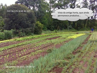 S22 36.125 W48 46.317Vista da antiga horta, que ainda permanece produtiva...11 de janeiro de 2011, 14:38:52