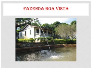 FAZENDA BOA VISTA
 