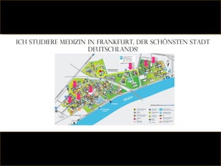 Ich studiere Medizin in frankfurt, der schönsten stadt deutschlands! 