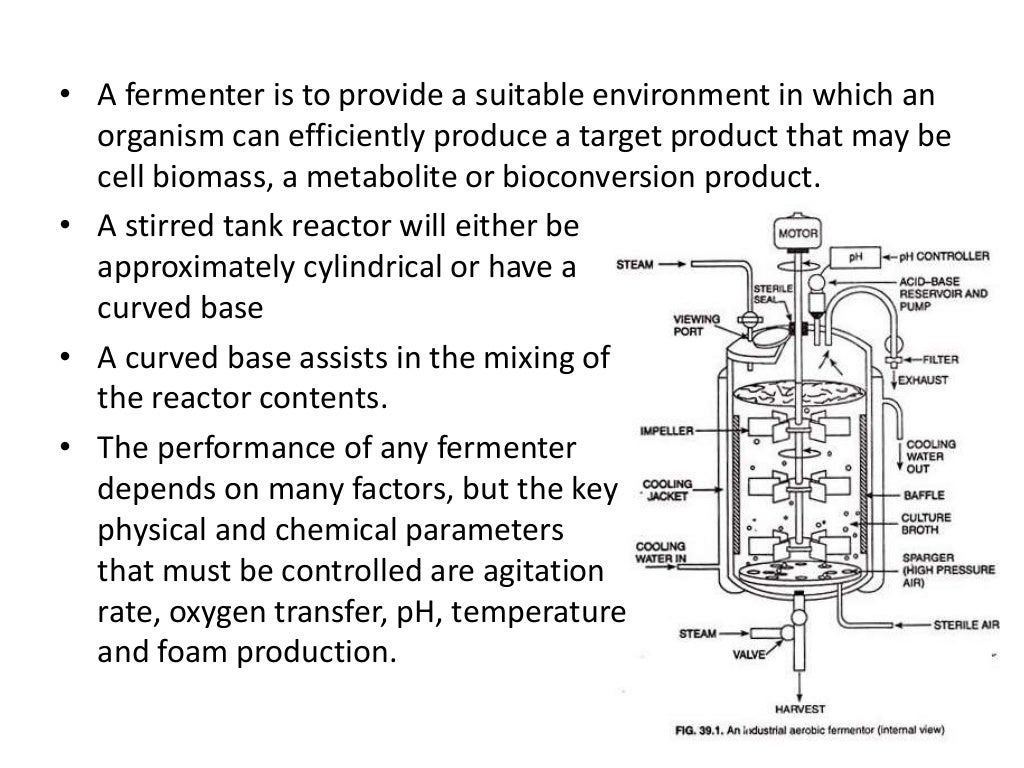Stirred tank bioreactor
