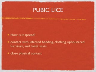 PUBIC LICE



How is it spread?

contact with infected bedding, clothing, upholstered
furniture, and toilet seats

close physical contact
 