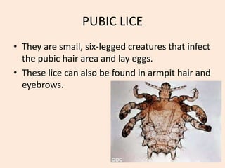 Hepatitis CHep C is a viral disease that leads to swelling (inflammation) of the liver.Hep C can be caught via:-blood-to- blood contactSharing needles