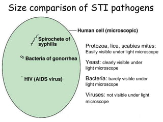 Sexually transmitted disease Nursing management of patients with ...