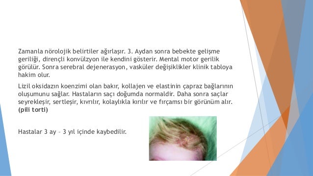 Dr Merve Atik