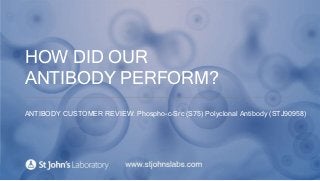 HOW DID OUR
ANTIBODY PERFORM?
ANTIBODY CUSTOMER REVIEW: Phospho-c-Src (S75) Polyclonal Antibody (STJ90958)
 