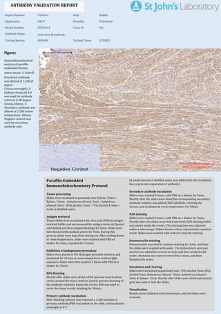 Figure:
Immunohistochemical
analysis of paraffin
embedded Human
uterus tissue. 1: Actin β
Polyclonal Antibody
was diluted at 1:200 (4
degree
Celsius,overnight). 2:
Sodium citrate pH 6.0
was used for antibody
retrieval (>98 degree
Celsius,20min). 3:
Secondary antibody was
diluted at 1:200 (room
temperature, 30min).
Negative control was
used by secondary
antibody only.
Report Number 91464-a Host Rabbit
Application IHC-P Clonality Polyclonal
Model Number STJ91464 Clone ID NA
Antibody Name Anti-Actin β antibody
Testing Species HUMAN Testing Tissue UTERUS
ANTIBODY VALIDATION REPORT
b. (A small amount of distilled water was added into the incubation
box to prevent evaporation of antibody).
7. Secondary antibody incubation
a. Slides were washed 3 times, with PBS on a shaker for 5min.
Shortly after the slides were dried the corresponding secondary
antibody solution was added (HRP labelled), covering the
tissues, and incubated at room temperature for 30min.
b.
8. DAB staining
a. Slides were washed 3 times, with PBS on a shaker for 5min.
b. Shortly after, the slides were dried and fresh DAB staining buffer
was added inside the circles. The staining time was adjusted
under a microscope. Yellow-brown colour represented a positive
result. Slides were washed with water to stop the staining.
c.
9. Haematoxylin staining
a. Haematoxylin was used to counter-staining for 1min, and then
the slides were washed with water. 1% Hydrochloric acid and
alcohol was added for several seconds and then washed with
water. Ammonia was used to reveal blue colour, and then
flushed with water.
b.
10. Desolation and Clearing
i. Slides were incubated sequentially into: 75% alcohol 5min, 85%
alcohol 5min, Anhydrous ethanol - 5min, Anhydrous ethanol -
5min & Xylene - 5min. Shortly after slides were dried and neutral
gum was used to seal the slides.
ii.
11. Visualization
a. Results were validated with microscope, and the slides were
scanned.
Paraffin-Embedded
Immunohistochemistry Protocol
1.
2. Tissue processing
a. Slides were incubated sequentially into Xylene; 15min –
Xylene, 15min - Anhydrous ethanol, 5min - Anhydrous
ethanol, 5min - 85% alcohol, 5min - 75% alcohol & 5min –
wash in distilled water.
b.
3. Antigen retrieval
a. Tissue slides were incubated with citric acid (PH6.0) antigen
retrieval buffer and microwaved for antigen retrieval (heated
until boiled and then stopped heating) for 8min. Slides were
then heated with medium power for 7min. During this
process slides were kept from drying out. After cooling down
at room temperature, slides were washed with PBS on
shaker for 5min, repeated for 3 times.
b.
4. Inhibition of endogenous peroxidase
a. Slides were placed in 3% Hydrogen peroxide solution, and
incubated for 10 min at room temperature without light
exposure. Slides were then washed 3 times with PBS on a
shaker for 5mins.
b.
5. BSA Blocking
a. Shortly after slides were dried, a PAP pen was used to draw
circles around the tissue sections (and to prevent draining of
the antibody solution). Inside the circles, BSA was used to
cover the tissue evenly, blocking for 30min.
b.
6. Primary antibody incubation
After blocking solution was removed a 1:200 solution of
primary antibody/PBS was added on the slide, and incubated
overnight at 4°C.
St John's Laboratory Ltd.
www.stjohnslabs.com
 