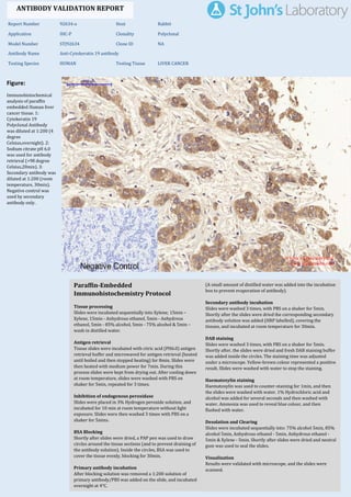Figure:
Immunohistochemical
analysis of paraffin
embedded Human liver
cancer tissue. 1:
Cytokeratin 19
Polyclonal Antibody
was diluted at 1:200 (4
degree
Celsius,overnight). 2:
Sodium citrate pH 6.0
was used for antibody
retrieval (>98 degree
Celsius,20min). 3:
Secondary antibody was
diluted at 1:200 (room
temperature, 30min).
Negative control was
used by secondary
antibody only.
Report Number 92634-a Host Rabbit
Application IHC-P Clonality Polyclonal
Model Number STJ92634 Clone ID NA
Antibody Name Anti-Cytokeratin 19 antibody
Testing Species HUMAN Testing Tissue LIVER CANCER
ANTIBODY VALIDATION REPORT
a. (A small amount of distilled water was added into the incubation
box to prevent evaporation of antibody).
40. Secondary antibody incubation
a. Slides were washed 3 times, with PBS on a shaker for 5min.
Shortly after the slides were dried the corresponding secondary
antibody solution was added (HRP labelled), covering the
tissues, and incubated at room temperature for 30min.
b.
41. DAB staining
a. Slides were washed 3 times, with PBS on a shaker for 5min.
b. Shortly after, the slides were dried and fresh DAB staining buffer
was added inside the circles. The staining time was adjusted
under a microscope. Yellow-brown colour represented a positive
result. Slides were washed with water to stop the staining.
c.
42. Haematoxylin staining
a. Haematoxylin was used to counter-staining for 1min, and then
the slides were washed with water. 1% Hydrochloric acid and
alcohol was added for several seconds and then washed with
water. Ammonia was used to reveal blue colour, and then
flushed with water.
b.
43. Desolation and Clearing
i. Slides were incubated sequentially into: 75% alcohol 5min, 85%
alcohol 5min, Anhydrous ethanol - 5min, Anhydrous ethanol -
5min & Xylene - 5min. Shortly after slides were dried and neutral
gum was used to seal the slides.
ii.
44. Visualization
a. Results were validated with microscope, and the slides were
scanned.
Paraffin-Embedded
Immunohistochemistry Protocol
34.
35. Tissue processing
a. Slides were incubated sequentially into Xylene; 15min –
Xylene, 15min - Anhydrous ethanol, 5min - Anhydrous
ethanol, 5min - 85% alcohol, 5min - 75% alcohol & 5min –
wash in distilled water.
b.
36. Antigen retrieval
a. Tissue slides were incubated with citric acid (PH6.0) antigen
retrieval buffer and microwaved for antigen retrieval (heated
until boiled and then stopped heating) for 8min. Slides were
then heated with medium power for 7min. During this
process slides were kept from drying out. After cooling down
at room temperature, slides were washed with PBS on
shaker for 5min, repeated for 3 times.
b.
37. Inhibition of endogenous peroxidase
a. Slides were placed in 3% Hydrogen peroxide solution, and
incubated for 10 min at room temperature without light
exposure. Slides were then washed 3 times with PBS on a
shaker for 5mins.
b.
38. BSA Blocking
a. Shortly after slides were dried, a PAP pen was used to draw
circles around the tissue sections (and to prevent draining of
the antibody solution). Inside the circles, BSA was used to
cover the tissue evenly, blocking for 30min.
b.
39. Primary antibody incubation
After blocking solution was removed a 1:200 solution of
primary antibody/PBS was added on the slide, and incubated
overnight at 4°C.
St John's Laboratory Ltd.
www.stjohnslabs.com
 