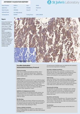 Figure:
Immunohistochemical
analysis of paraffin
embedded Human lung
cancer tissue. 1: ERβ
Polyclonal Antibody
was diluted at 1:200 (4
degree
Celsius,overnight). 2:
Sodium citrate pH 6.0
was used for antibody
retrieval (>98 degree
Celsius,20min). 3:
Secondary antibody was
diluted at 1:200 (room
temperature, 30min).
Negative control was
used by secondary
antibody only.
Report Number 93002-a Host Rabbit
Application IHC-P Clonality Polyclonal
Model Number STJ93002 Clone ID NA
Antibody Name Anti-ERβ antibody
Testing Species HUMAN Testing Tissue LUNG CANCER
ANTIBODY VALIDATION REPORT
b. (A small amount of distilled water was added into the incubation
box to prevent evaporation of antibody).
29. Secondary antibody incubation
a. Slides were washed 3 times, with PBS on a shaker for 5min.
Shortly after the slides were dried the corresponding secondary
antibody solution was added (HRP labelled), covering the
tissues, and incubated at room temperature for 30min.
b.
30. DAB staining
a. Slides were washed 3 times, with PBS on a shaker for 5min.
b. Shortly after, the slides were dried and fresh DAB staining buffer
was added inside the circles. The staining time was adjusted
under a microscope. Yellow-brown colour represented a positive
result. Slides were washed with water to stop the staining.
c.
31. Haematoxylin staining
a. Haematoxylin was used to counter-staining for 1min, and then
the slides were washed with water. 1% Hydrochloric acid and
alcohol was added for several seconds and then washed with
water. Ammonia was used to reveal blue colour, and then
flushed with water.
b.
32. Desolation and Clearing
i. Slides were incubated sequentially into: 75% alcohol 5min, 85%
alcohol 5min, Anhydrous ethanol - 5min, Anhydrous ethanol -
5min & Xylene - 5min. Shortly after slides were dried and neutral
gum was used to seal the slides.
ii.
33. Visualization
a. Results were validated with microscope, and the slides were
scanned.
Paraffin-Embedded
Immunohistochemistry Protocol
23.
24. Tissue processing
a. Slides were incubated sequentially into Xylene; 15min –
Xylene, 15min - Anhydrous ethanol, 5min - Anhydrous
ethanol, 5min - 85% alcohol, 5min - 75% alcohol & 5min –
wash in distilled water.
b.
25. Antigen retrieval
a. Tissue slides were incubated with citric acid (PH6.0) antigen
retrieval buffer and microwaved for antigen retrieval (heated
until boiled and then stopped heating) for 8min. Slides were
then heated with medium power for 7min. During this
process slides were kept from drying out. After cooling down
at room temperature, slides were washed with PBS on
shaker for 5min, repeated for 3 times.
b.
26. Inhibition of endogenous peroxidase
a. Slides were placed in 3% Hydrogen peroxide solution, and
incubated for 10 min at room temperature without light
exposure. Slides were then washed 3 times with PBS on a
shaker for 5mins.
b.
27. BSA Blocking
a. Shortly after slides were dried, a PAP pen was used to draw
circles around the tissue sections (and to prevent draining of
the antibody solution). Inside the circles, BSA was used to
cover the tissue evenly, blocking for 30min.
b.
28. Primary antibody incubation
After blocking solution was removed a 1:200 solution of
primary antibody/PBS was added on the slide, and incubated
overnight at 4°C.
St John's Laboratory Ltd.
www.stjohnslabs.com
 